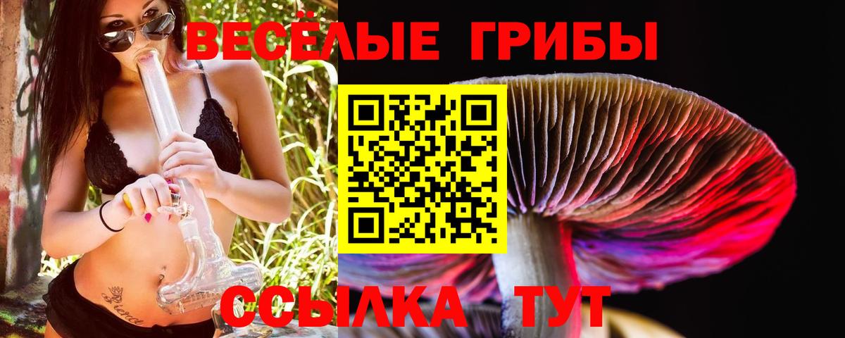 Псилоцибиновые грибы мухоморы Егорьевск
